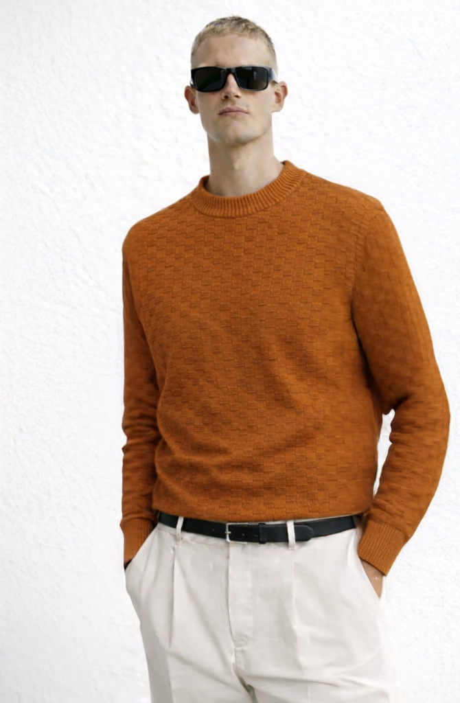 Men’s Textured Crew Neck Knit Sweater