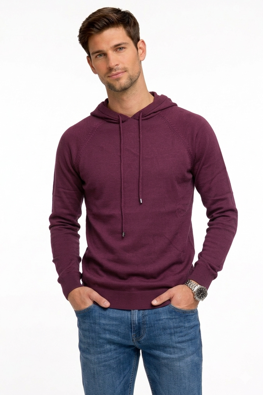 Hoodie Sweater S22025