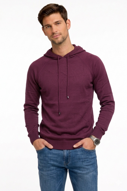 Hoodie Sweater S22025