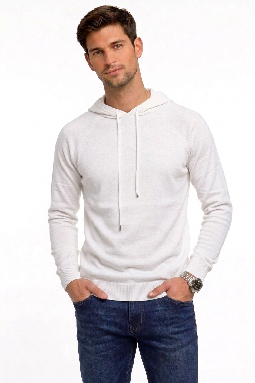 Hoodie Sweater S22025