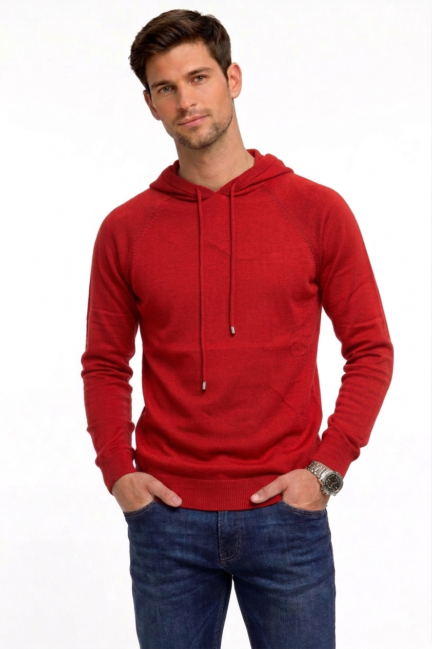 Hoodie Sweater S22025