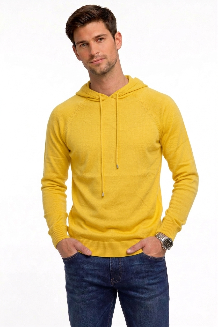 Hoodie Sweater S22025