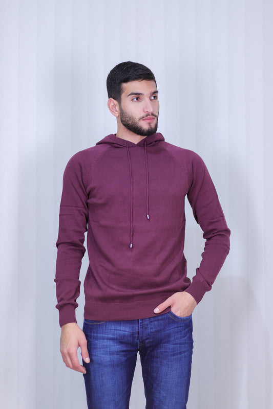 Hoodie Sweater S22025