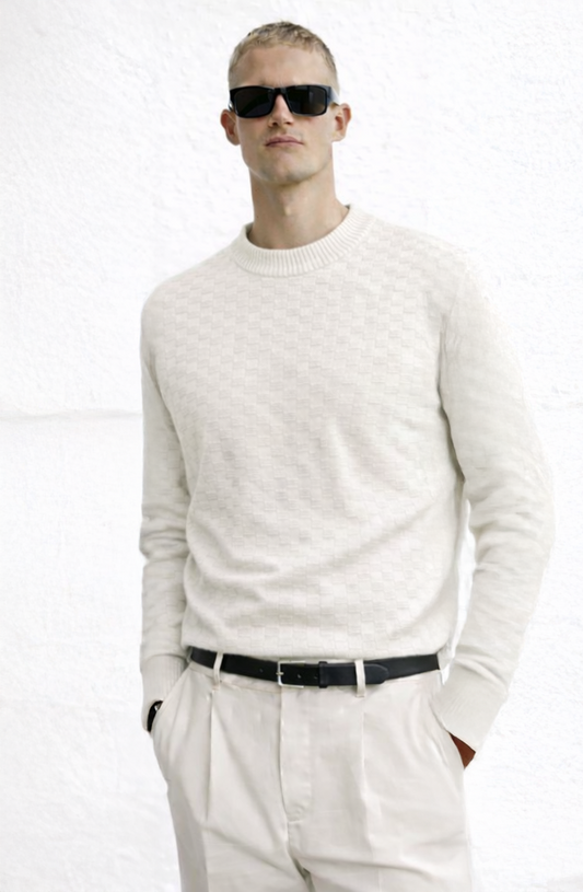 Men’s Textured Crew Neck Knit Sweater
