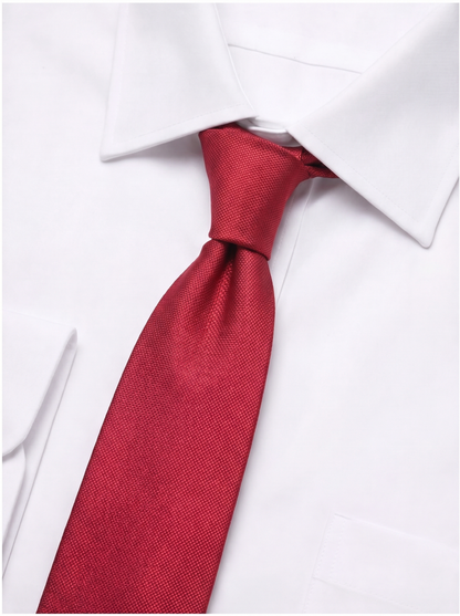 Classic Men's Tie